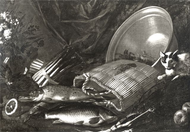 Anonimo — Pittore di Rodolfo Lodi - sec. XVII - Natura morta con sporta, pesci, ortaggi, fiori, bacile e gatto — insieme